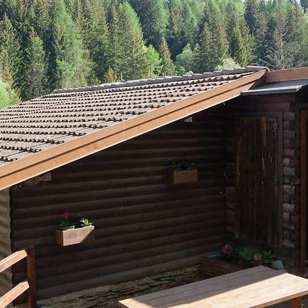 Agriturismo Piangembro Corteno Golgi 외부 사진