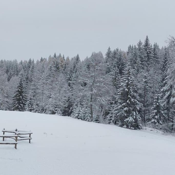 Agriturismo Piangembro Corteno Golgi 외부 사진