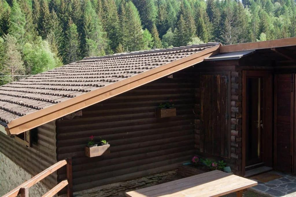 Agriturismo Piangembro Corteno Golgi 외부 사진